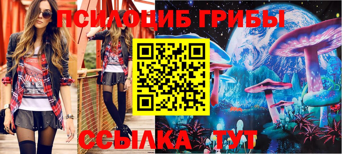 Псилоцибиновые грибы MAGIC MUSHROOMS Котлас