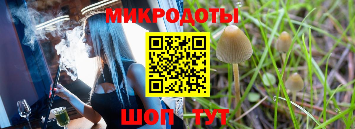 Псилоцибиновые грибы мухоморы  Галлюциногенные грибы мицелий  Вход с VPN  Котлас 